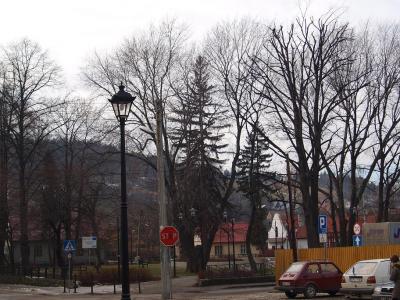 widok na park...